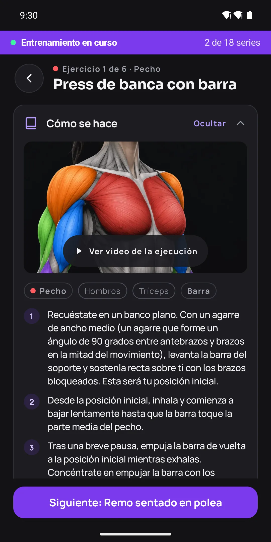 Guía «Cómo se hace» del Press de banca con barra: ilustración muscular, etiquetas de músculos y pasos numerados